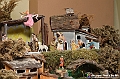 VBS_8379 - Presepe Chiesa di Martinetta Natale 2024